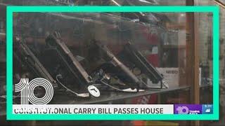 Constitutional carry bill passes the Florida House