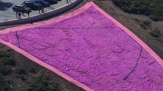 19-year-old man accused of vandalizing iconic San Francisco Pink Triangle