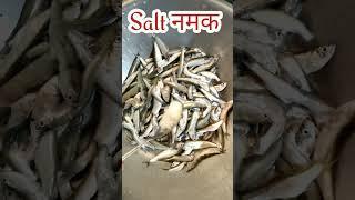 Tasty Small Fish Fry Recipe  | छोटी मछली फ्राई करने का आसान तरीका #shorts