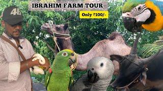 IBRAHIM FARM TOUR#farm #exotic #pets #trichy #birds #animals #tamilvlog  #princetastydiary