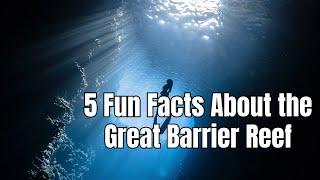 5 Fun Facts About The Great Barrier Reef