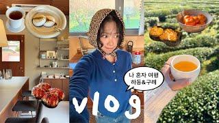 나혼자 하동•구례 여행VLOG 인생 찻집과 숙소 찾고 도파민 터진 여행,녹차밭,빠이책방