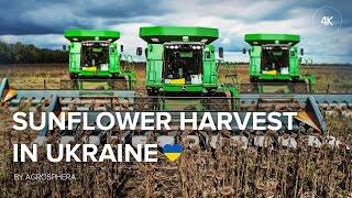 Sunflower harvest in Ukraine  John Deere&Case | MUNNT Farm