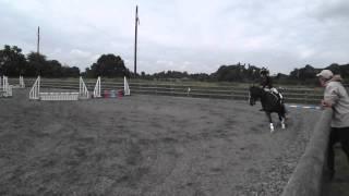 Snowball Farm Showjumping