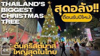 [4K]The Biggest Christmas Tree in Thailand - Christmas 2022 Walking Tour