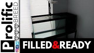 BUDGET NANO REEF BUILD | TITAN EZE STAND AND FIJI CUBE AIO (ALL IN ONE) RUNNING