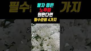 팔자 좋은 노후를 원한다면 필수준비 4가지 #명언 #좋은글 #오디오북 #지혜 #인생조언 #인생명언