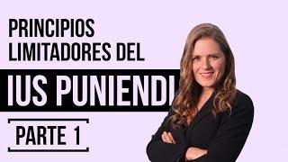 ¿QUÉ ES EL PRINCIPIO DE LEGALIDAD? o RESERVA en DERECHO PENAL NULLUM CRIMEN, NULLA POENA SINE LEGE.