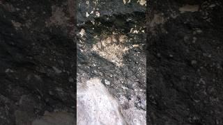 Ancient Southwestern Rock Art - Example Of Polydactl (Six Toes) Reverence?