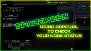 Check status of your Node using GRPCurl - Spacemesh