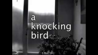 A knocking bird - Stefaan van Biesen