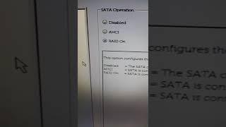 Dell PowerEdge T40 RAID BIOS Setting and Intel Rapid RAID Mode