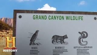 Grand Canyon | History
