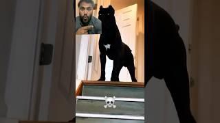 https://youtube.com/shorts/aDnC8y0YZCc?si=OZSxsDvVQDXXqfqA