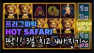 @짧고 깔끔하게 프라그마틱 *핫 사파리* HOT SAFARI 생활슬롯!!!