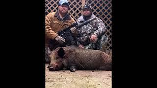 Thermal Hog Hunt with Veterans