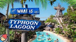 What is Disney's TYPHOON LAGOON? | Walt Disney World