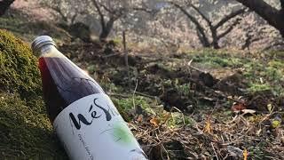 Méshil ; 3 years fermented Organic Korean plum extract