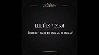 Шейх Яхья / Мавлид