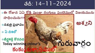 The Kukkuta Sastram Advantage/14 Nov 2024 Today winning colours/vision of kukkuta sastram