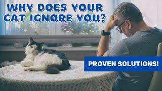 Decoding Feline Behavior: Why Your Cat Ignores You and Proven Solutions!