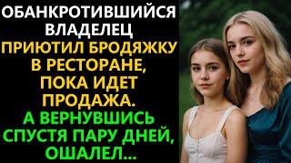 Владелец приютил бродяжку в ресторане. Пока идет продажа. А вернувшись спустя пару дней, ошалел...