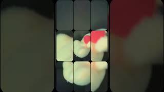 Ducky edit