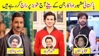 Top Famous Successful Sons of Pakistani Actors | Amazing Info