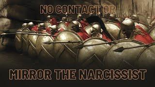 No Contact or Mirror the Narcissist. Send those evil clowns into Narcissistic Collapse.