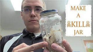 How to Make a Kill Jar for Insects & Spiders