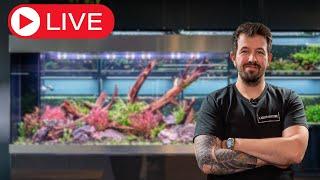 Aquascaping Q&A Livestream!