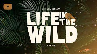 Welcome to Life in the Wild | Navigating the Wilderness