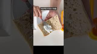코스트코 가면 꼭 사야할 신상! 카이막치즈!아돼삼TV-코코리뷰 NO.1채널