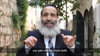 Rabbi Fanger - How to deal with insults