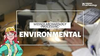 Behind the Scenes at Wessex Archaeology: The Environmental Labs