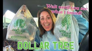 JACKPOT DOLLAR TREE HAUL | I Should Have Bought Every One  & NEW DUPES!