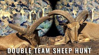 Unbelievable Dual Killshot - Double Barbary Sheep Takedown