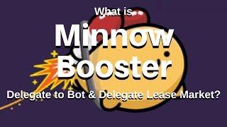 What is Minnowbooster?