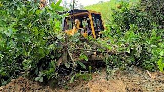 The Best Dozer CAT D6G Expanding Plantation Roads For Local Villagers