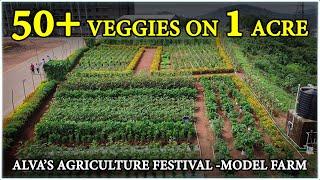 Incredible 1-Acre Vegetable Farm Using Modern Agriculture Techniques! Alva’s Virasat, Moodbidri