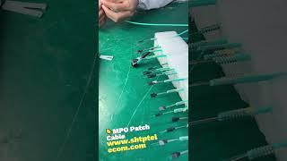 MPO Patch Cord Assembly Process!  #FiberOptics #MPO #Tech