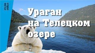 Ураган на Телецком озере. Моржовские новости. Зимнее плавание. Моржи