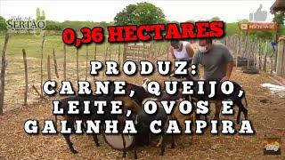 GRANDE PRODUÇÃO RURAL EM MENOS DE MEIO HECTARE 