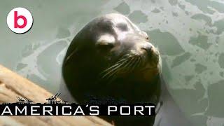 America's Port Season 1 Episode 7 | FULL EPISODE