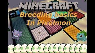 How to breed basic! | Minecraft Pixelmon