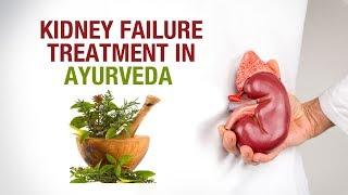 Kidney Failure Treatment in Ayurveda - Dr. Puneet Dhawan - Karma Ayurveda