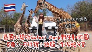 【2023曼谷自由行part4】泰國北碧府一日包車行程規劃！Safari park野生動物園、Bubble in the Forest Cafe、吞武里海鮮市場