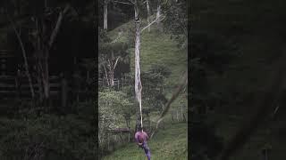 Panic roll ‍ #freestyle #slackline #shorts