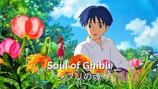 Back to Childhood Ghibli#studioghibli #ghiblimusic #soulofghibli #backtochildhood