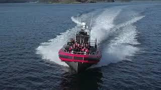 Western Prince Whale Watching on San Juan Island